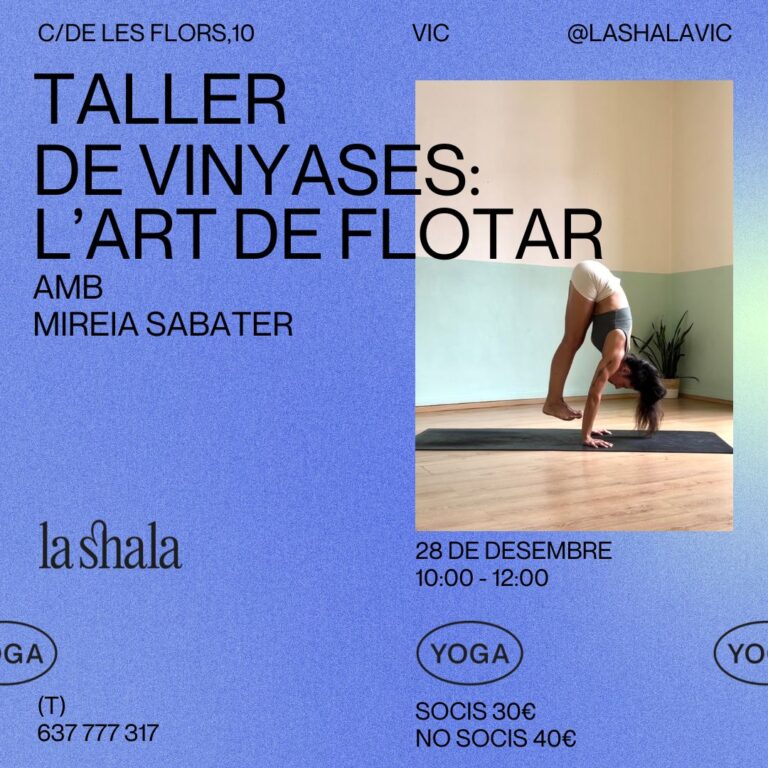 TALLER DE Vinyases l'art de flotar (POST)_20241130_094927_0000