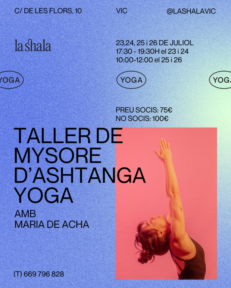Taller de Mysore